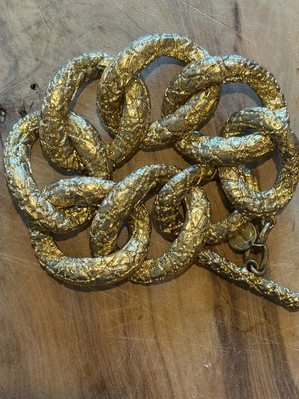 Unbranded Textured Gold Reptile Habitat Chain Bracelet